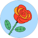 Dania De La R. profile picture