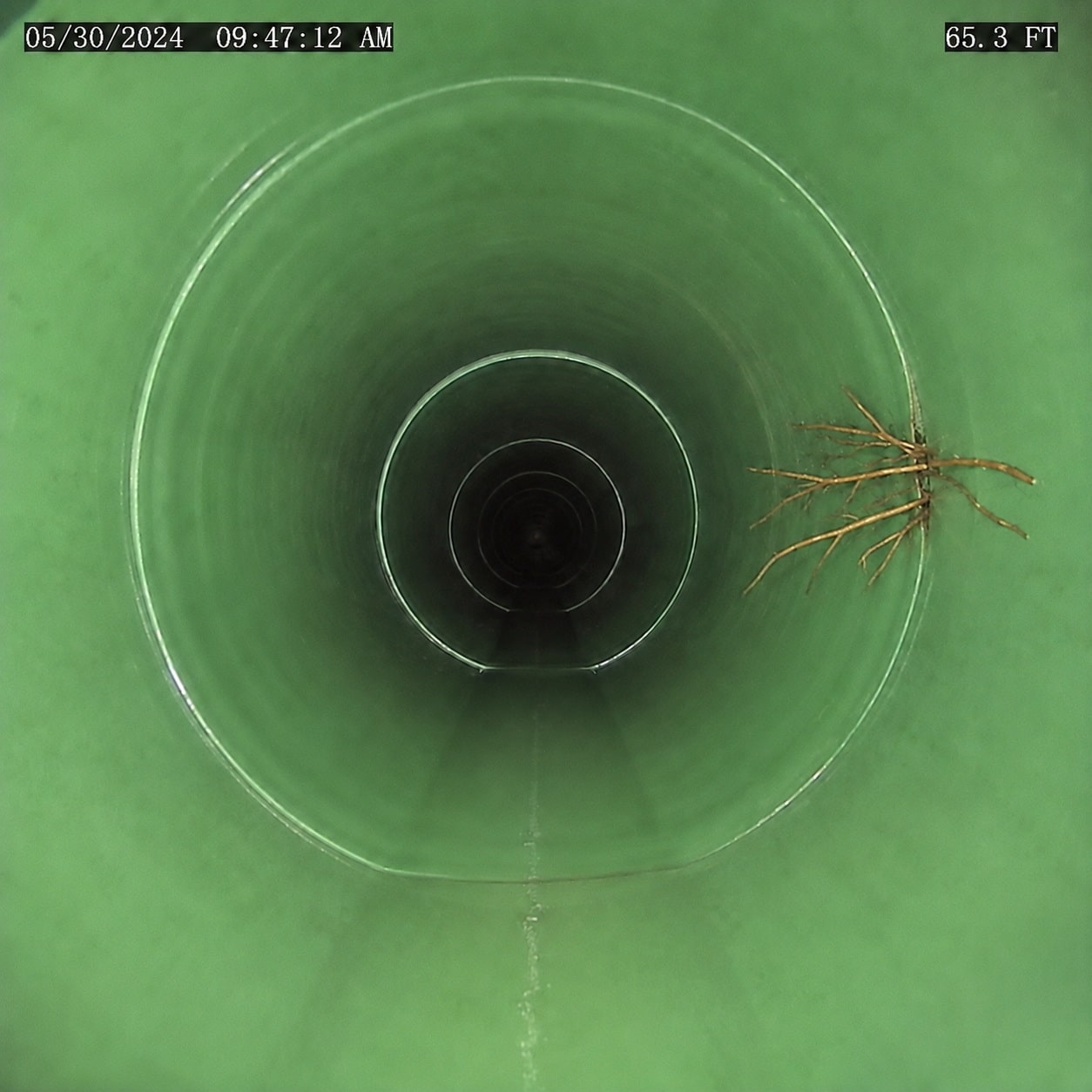 Sewer camera inspection footage showing root intrusion in a main sewer line in Lancaster, CA
